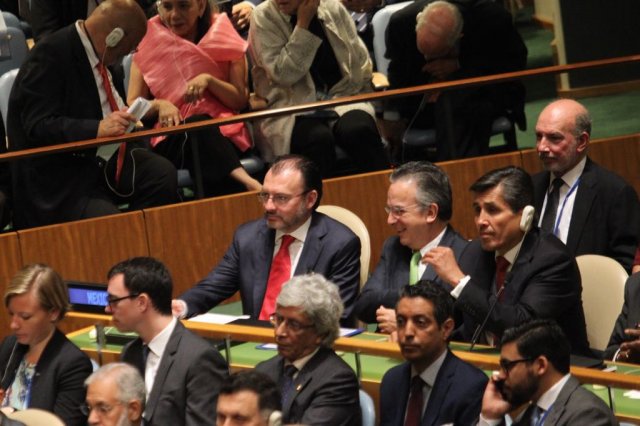 whatsapp image 2017-10-02 at 11.29.46 am 1